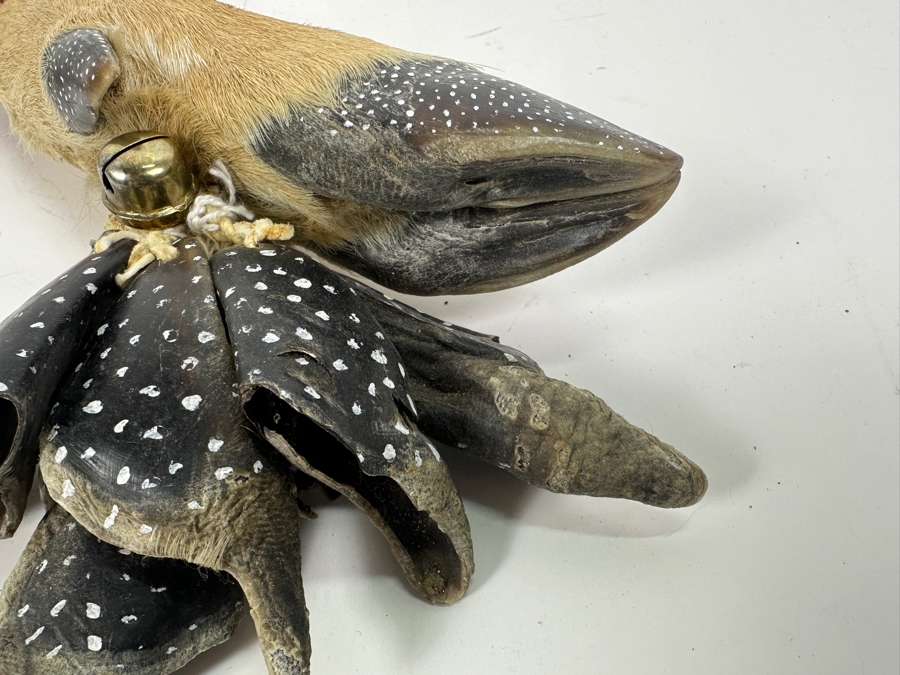 Native American Deer Hoof Rattle 17' [Photo 3]
