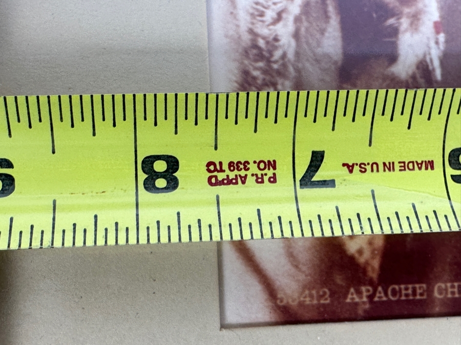 Just Added - Vintage William Henry Jackson (1843-1942) Photo-Cromo Photolithographic Print Of Native American Apache Chief James A. Garfield Copyright 1899 By Detroit Photographic Co 7.5 X 9.5 Framed [Photo 9]