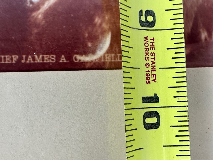 Just Added - Vintage William Henry Jackson (1843-1942) Photo-Cromo Photolithographic Print Of Native American Apache Chief James A. Garfield Copyright 1899 By Detroit Photographic Co 7.5 X 9.5 Framed [Photo 10]