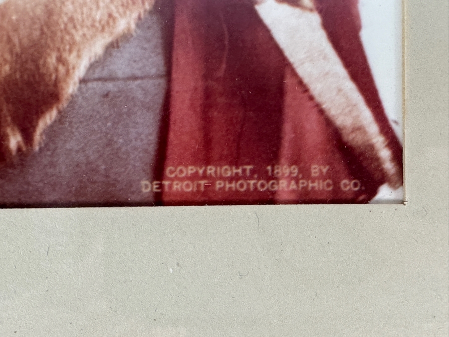 Just Added - Vintage William Henry Jackson (1843-1942) Photo-Cromo Photolithographic Print Of Native American Apache Chief James A. Garfield Copyright 1899 By Detroit Photographic Co 7.5 X 9.5 Framed [Photo 6]