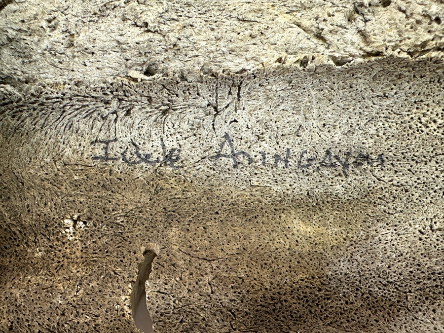 Just Added - Hand Painted Carved Bone Artist Signed 7.5L Retailed For $72 [Photo 6]