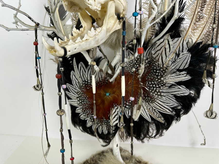 Southwest Spirit Catcher with Coyote Skull, Turkey Feather Wings, Turquoise Nose, Rabbit Fur and Hanging Beads [Photo 6]