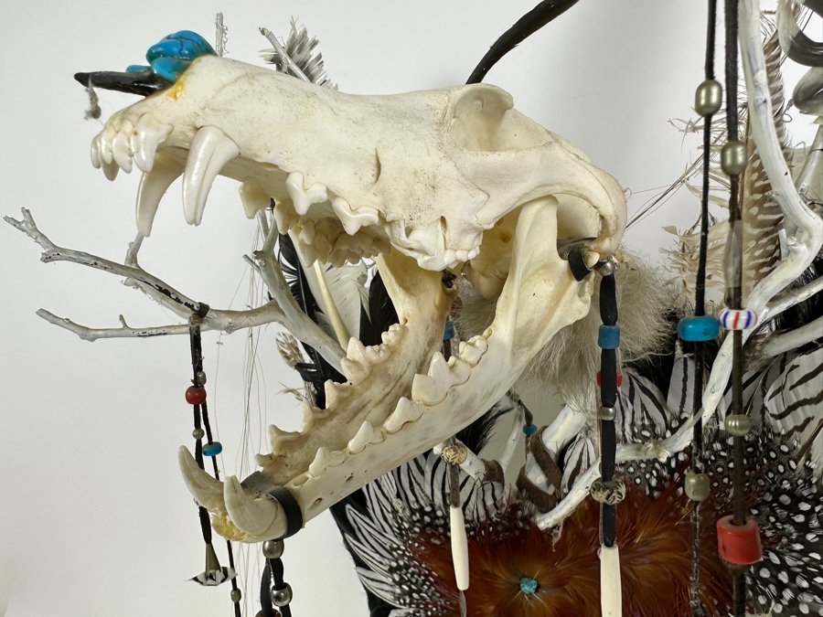 Southwest Spirit Catcher with Coyote Skull, Turkey Feather Wings, Turquoise Nose, Rabbit Fur and Hanging Beads [Photo 4]