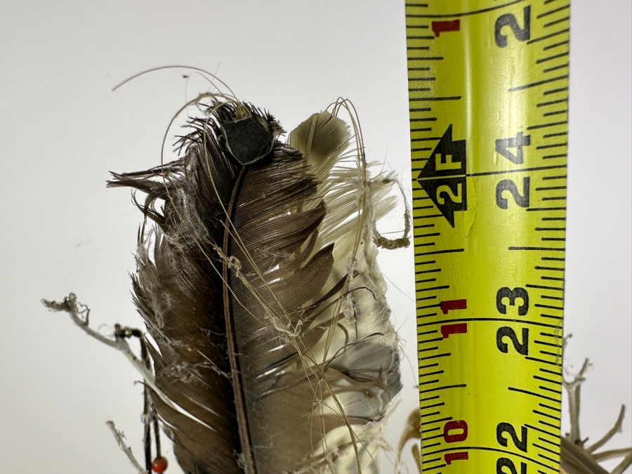 Southwest Spirit Catcher with Coyote Skull, Turkey Feather Wings, Turquoise Nose, Rabbit Fur and Hanging Beads [Photo 16]