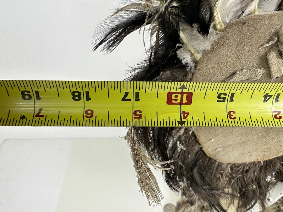 Southwest Spirit Catcher with Coyote Skull, Turkey Feather Wings, Turquoise Nose, Rabbit Fur and Hanging Beads [Photo 15]