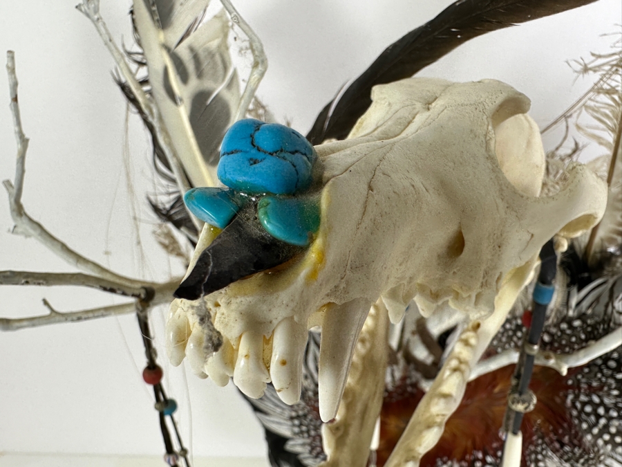 Southwest Spirit Catcher with Coyote Skull, Turkey Feather Wings, Turquoise Nose, Rabbit Fur and Hanging Beads [Photo 5]