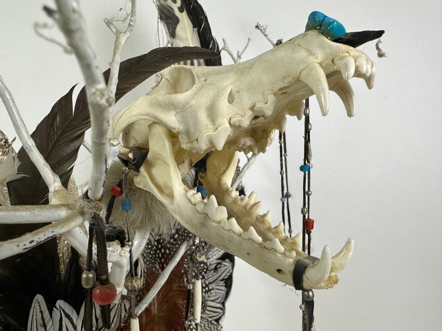 Southwest Spirit Catcher with Coyote Skull, Turkey Feather Wings, Turquoise Nose, Rabbit Fur and Hanging Beads [Photo 11]