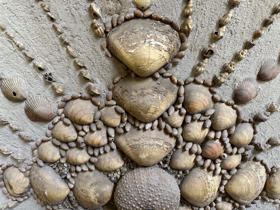 Just Added - Large Vintage Handmade Organic Seashell Starburst Sculpture On Board 49.5 X 49.5 [Photo 4]