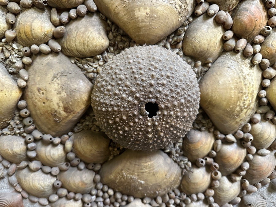 Just Added - Large Vintage Handmade Organic Seashell Starburst Sculpture On Board 49.5 X 49.5 [Photo 5]