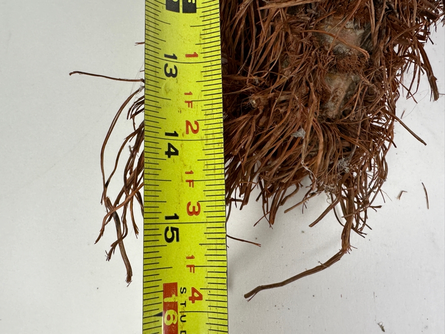 Just Added - Carved Monkey Wall Decor 15H And Leather Female Bust Sculpture 7H [Photo 6]