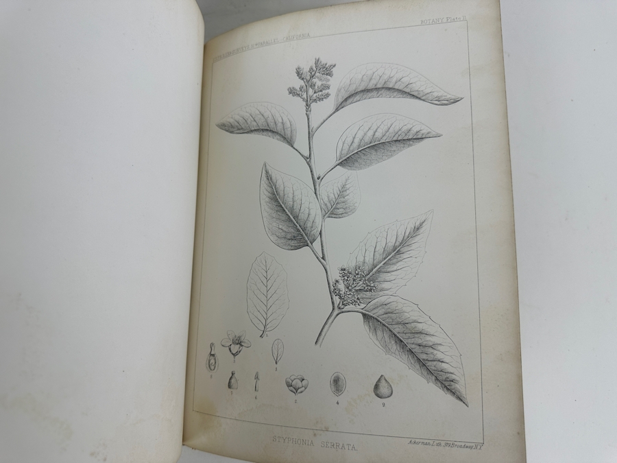 Just Added - Antique 1857 First Edition Book Reports Of Explorations And Surveys For A Railroad From The Mississippi River To The Pacific Ocean By The Secretary Of War From 1853-1856 Complete With Landscape & Botanical Plates And Maps Vol 7 [Photo 18]