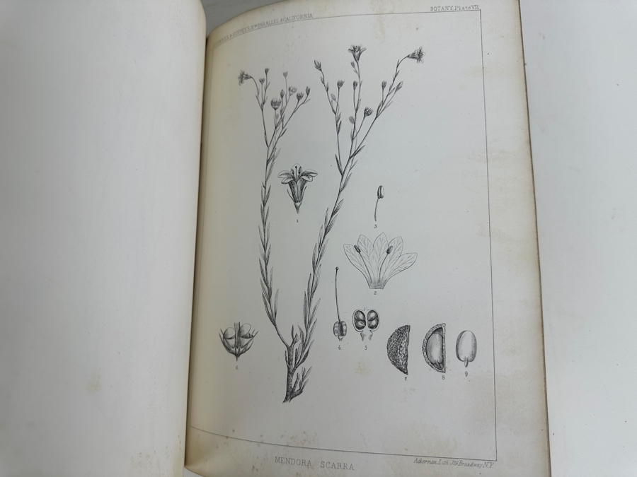 Just Added - Antique 1857 First Edition Book Reports Of Explorations And Surveys For A Railroad From The Mississippi River To The Pacific Ocean By The Secretary Of War From 1853-1856 Complete With Landscape & Botanical Plates And Maps Vol 7 [Photo 19]
