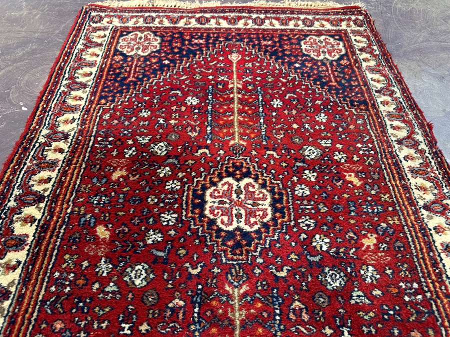 Hand Knotted Wool Persian Area Rug Made In India 31 X 49 [Photo 6]