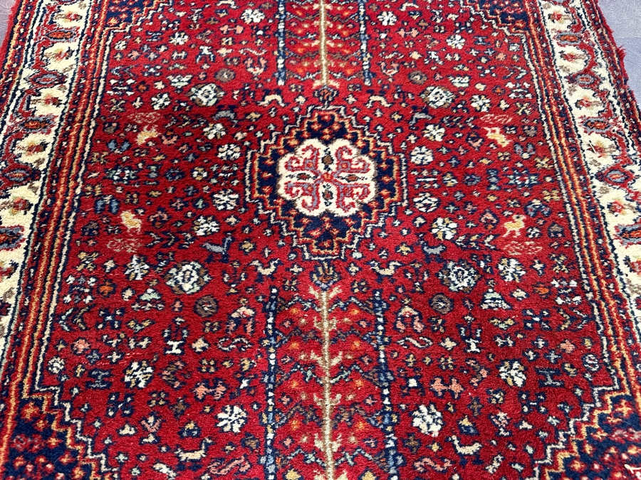 Hand Knotted Wool Persian Area Rug Made In India 31 X 49 [Photo 5]