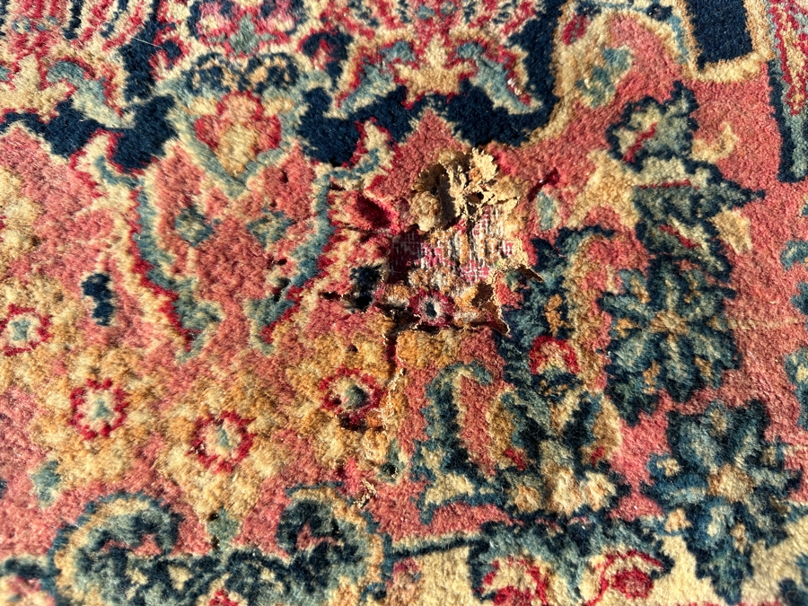 Large Hand Knotted Wool Persian Area Rug Made In Iran - See Photos For Damage 116 X 172 [Photo 8]