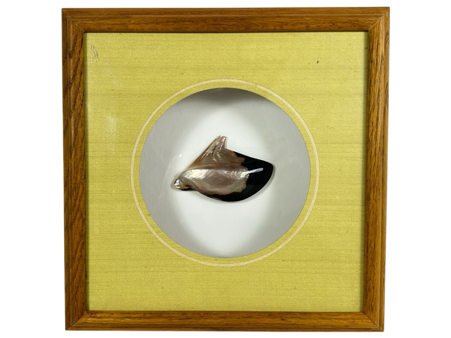 Vintage Shadowbox Framed Organic Seashell Mother Of Pearl 14.5W X 15H X 2.75D