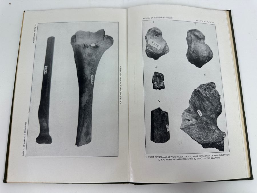 Antique 1918 First Edition Hardcover Book Recent Discoveries Attributed To Early Man In America By Ales Hrdlicka [Photo 9]