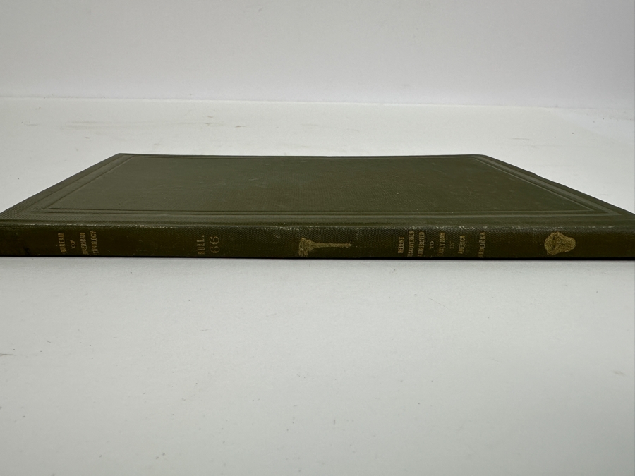 Antique 1918 First Edition Hardcover Book Recent Discoveries Attributed To Early Man In America By Ales Hrdlicka [Photo 11]