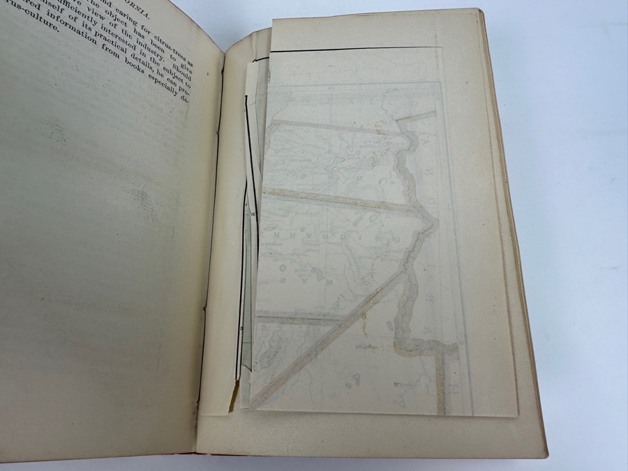 Antique 1888 First Edition Hardcover Book California Of The South A Complete Guide-Book To Southern California By Walter Lindley And J. P. Widney With Maps And Illustrations [Photo 11]