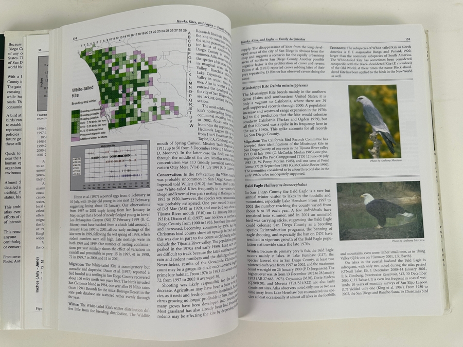 Just Added - Pair Of First Edition Hardcover Books: California Birds: Their Status And Distribution By Arnold Small 1994 And San Diego County Bird Atlas By Philip Unitt 2004 [Photo 7]