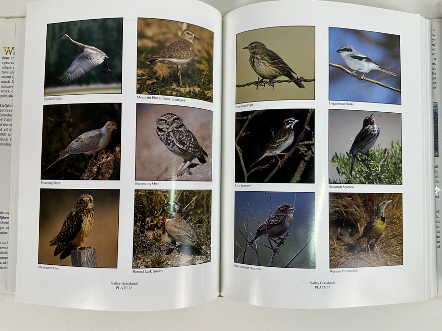 Just Added - Pair Of First Edition Hardcover Books: California Birds: Their Status And Distribution By Arnold Small 1994 And San Diego County Bird Atlas By Philip Unitt 2004 [Photo 10]