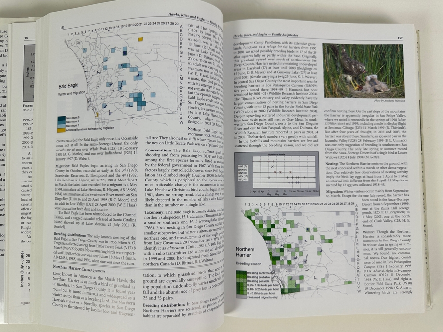 Just Added - Pair Of First Edition Hardcover Books: California Birds: Their Status And Distribution By Arnold Small 1994 And San Diego County Bird Atlas By Philip Unitt 2004 [Photo 6]