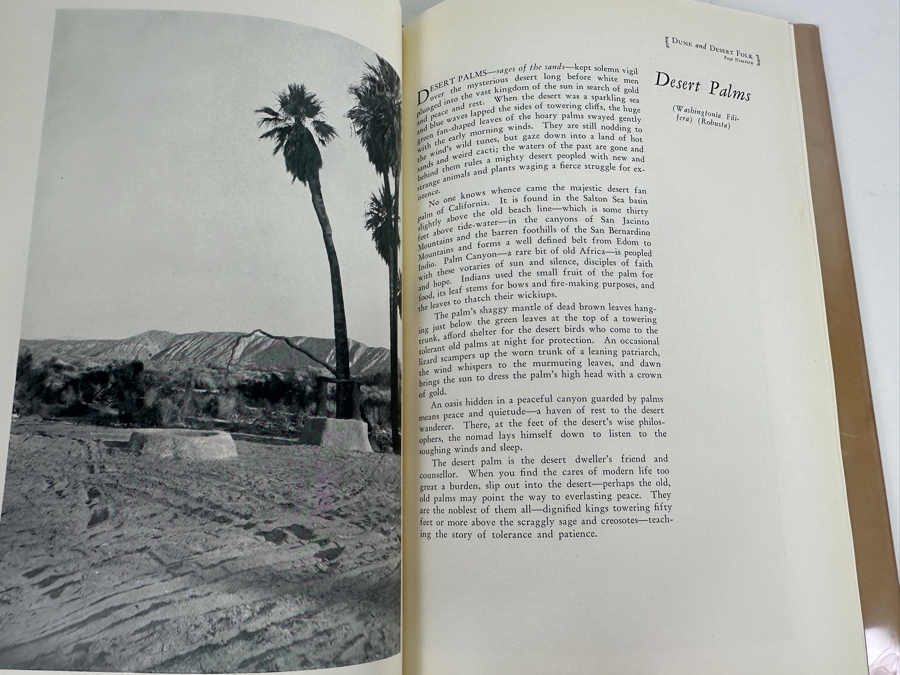Just Added - Vintage 1926 First Edition Hardcover Book Dune And Desert Folk By Bruce W. McDaniel [Photo 6]