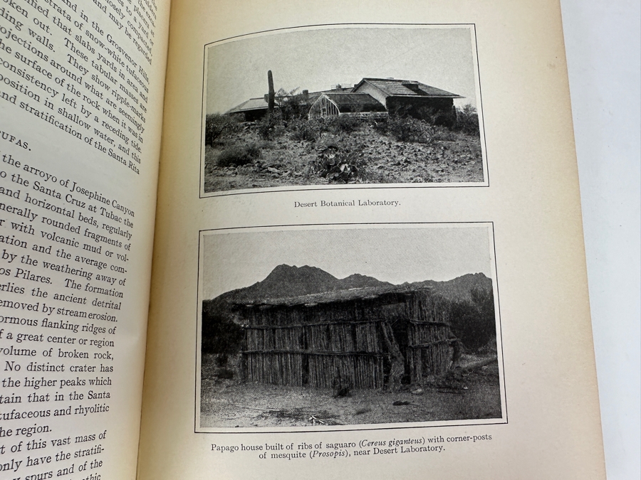 Just Added - Antique 1908 First Edition Hardcover Book Botanical Features Of North American Deserts By Daniel Trembly MacDougal [Photo 7]