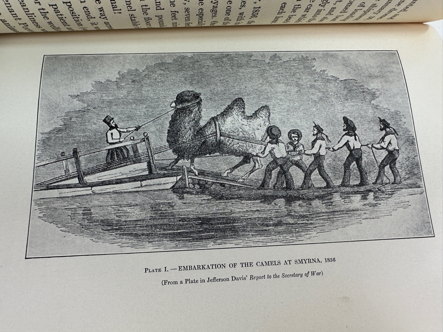 Just Added - First Edition 1929 Hardcover Book Uncle Sam's Camels The Journal Of May Humphreys Stacey [Photo 6]