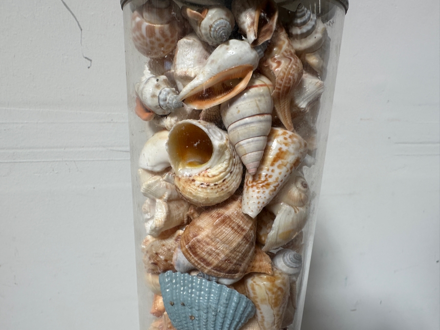 Just Added - Organic Seashell Filled Floor Lamp 57H [Photo 2]
