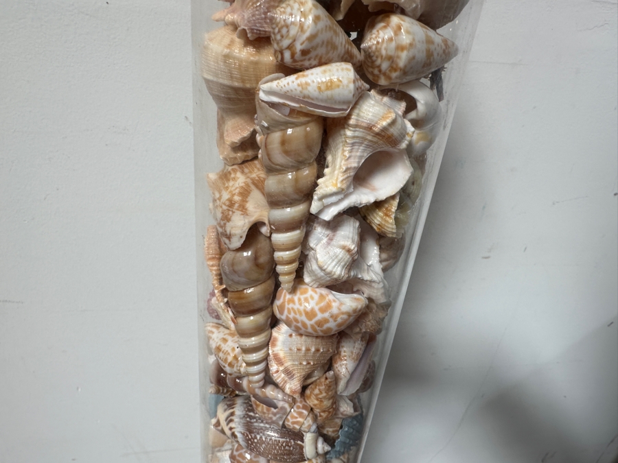 Just Added - Organic Seashell Filled Floor Lamp 57H [Photo 3]