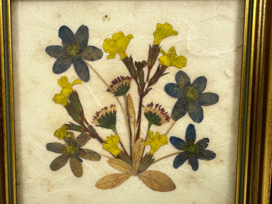 Pair Of Vintage Framed Floralp Tyrol Pressed Flowers Handmade In Austria 5 X 4.5 [Photo 4]