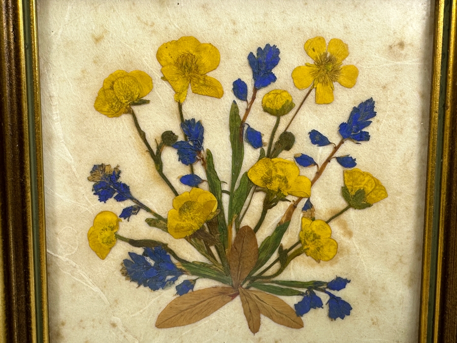 Pair Of Vintage Framed Floralp Tyrol Pressed Flowers Handmade In Austria 5 X 4.5 [Photo 3]