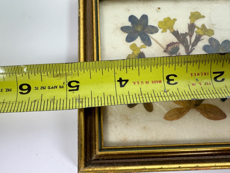Pair Of Vintage Framed Floralp Tyrol Pressed Flowers Handmade In Austria 5 X 4.5 [Photo 7]
