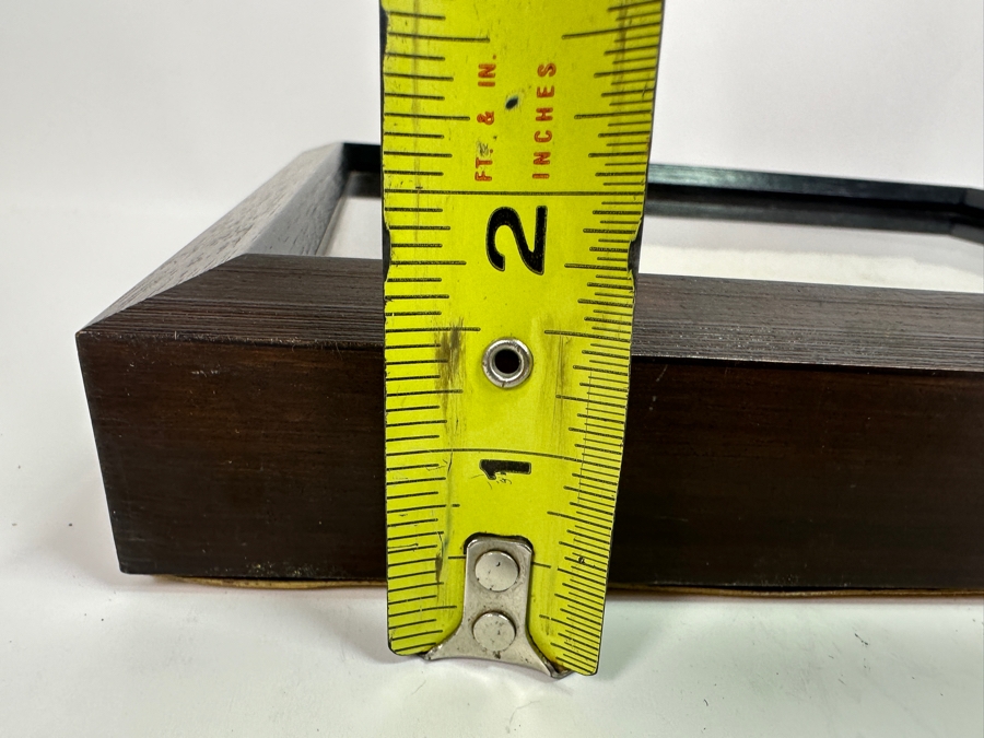 Antique Shadowbox Framed Fish Fossil 11W X 9H X 1.75D [Photo 8]