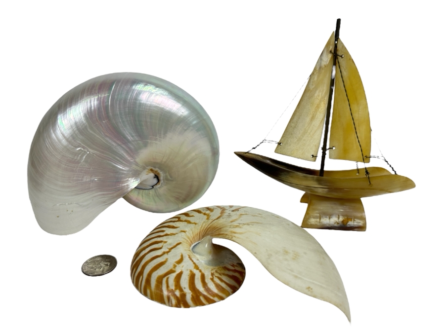 Pair Of Nautilus Seashells (One Bisected) And Horn Sailboat Sculpture 6.5H [Photo 1]