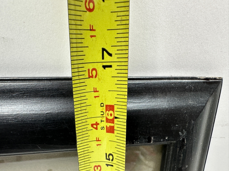 Title Page From Monkey-ana, Or Men In Miniature Engraving By Thomas Landseer 1827 7 X 8.5 Framed 15 X 16.5 [Photo 11]