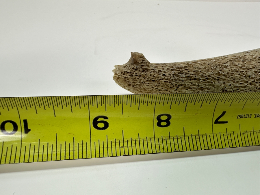 Vintage Inuit Eskimo Carved Whalebone Figurine 8.5L [Photo 6]