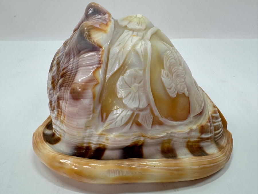 Carved Cameo Organic Seashell 4.5W X 3D X 3H [Photo 8]