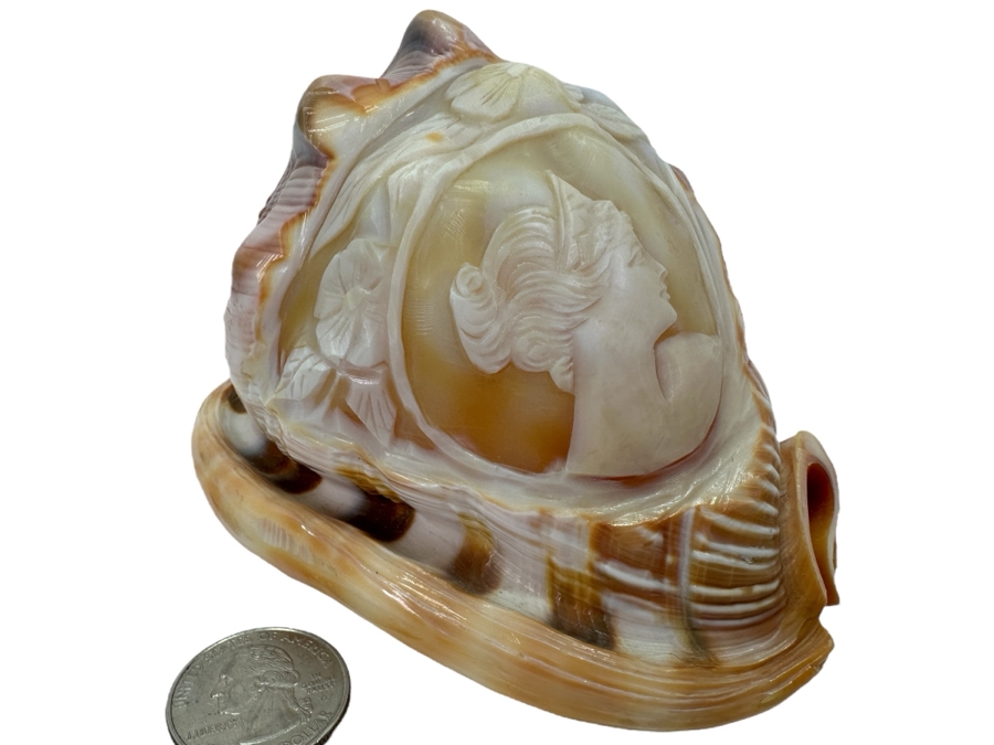 Carved Cameo Organic Seashell 4.5W X 3D X 3H [Photo 1]