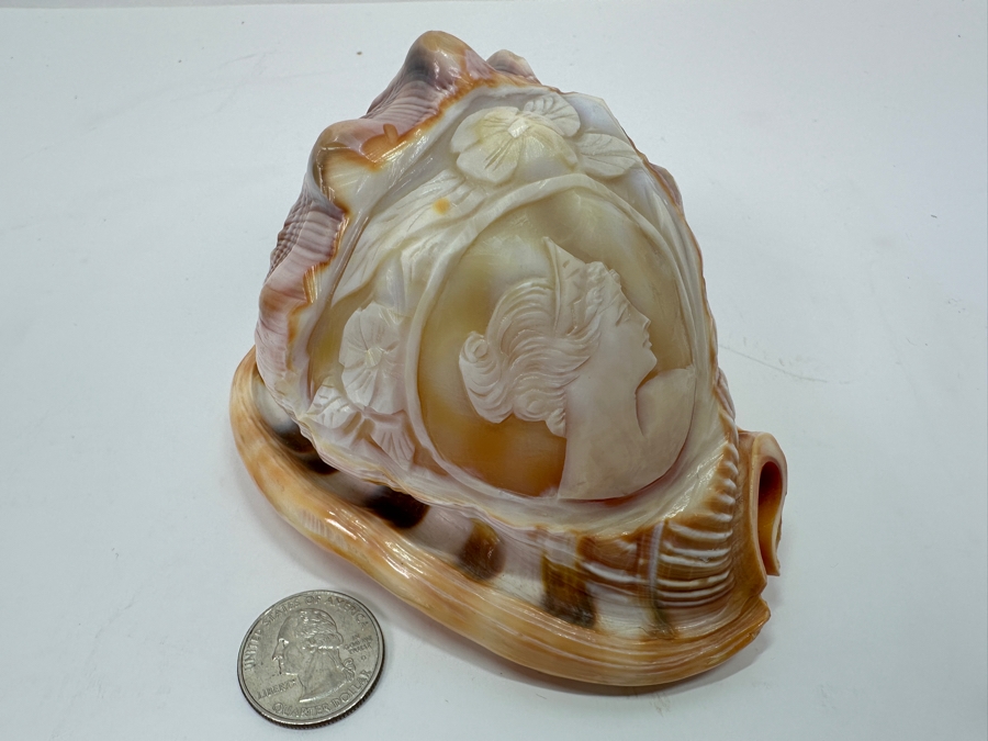 Carved Cameo Organic Seashell 4.5W X 3D X 3H [Photo 3]