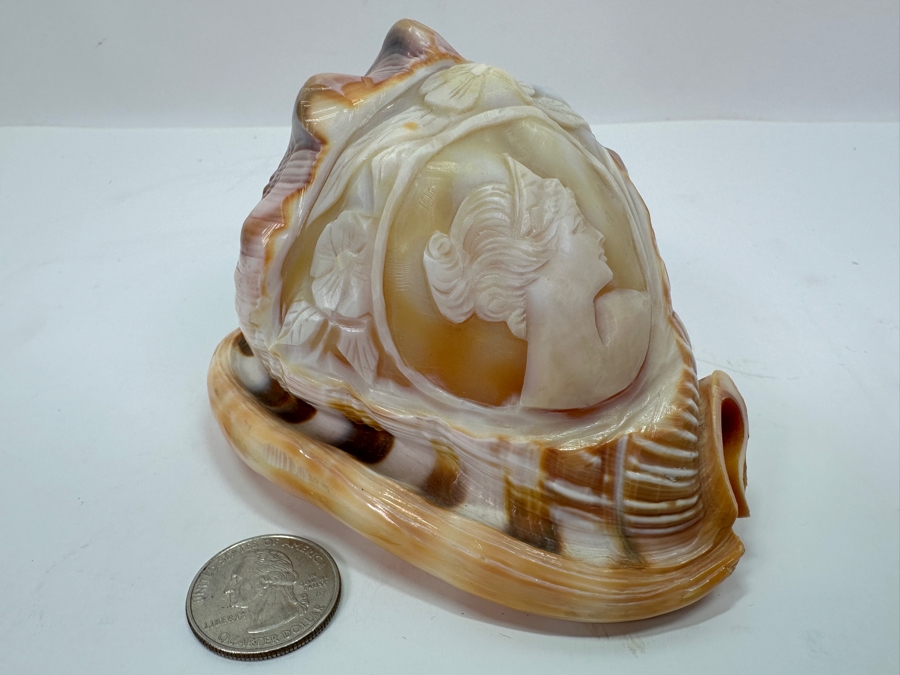 Carved Cameo Organic Seashell 4.5W X 3D X 3H [Photo 2]