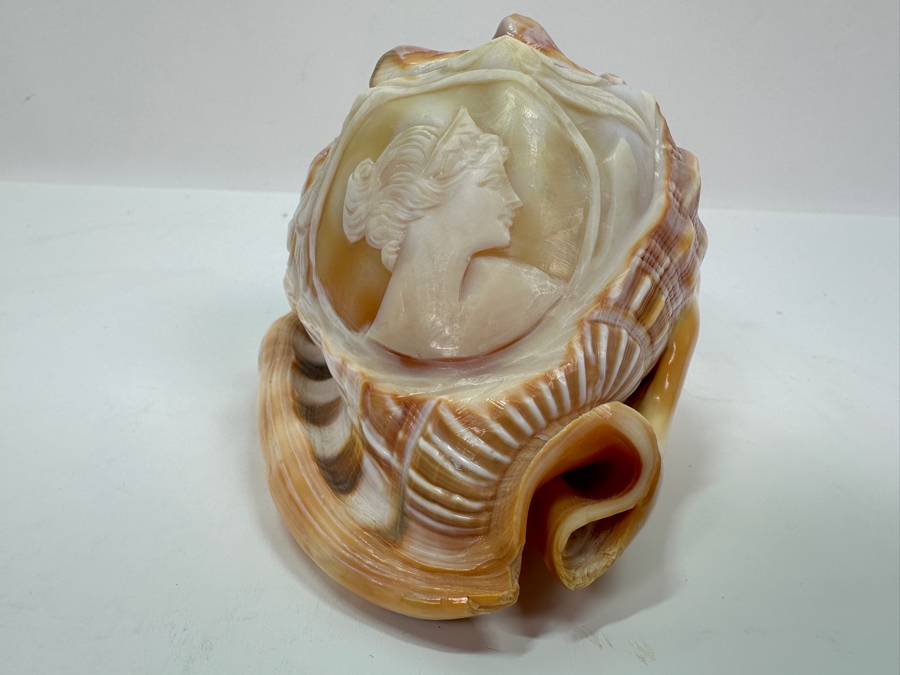 Carved Cameo Organic Seashell 4.5W X 3D X 3H [Photo 5]