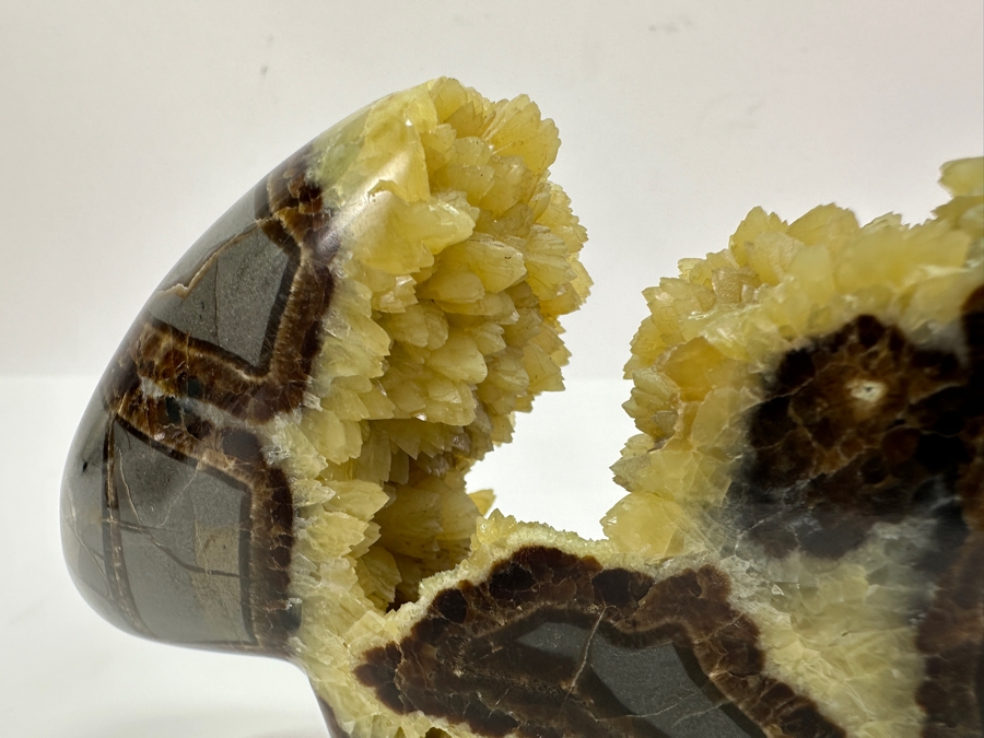 Carved Septarian Bear Figurine 5W X 3H [Photo 7]