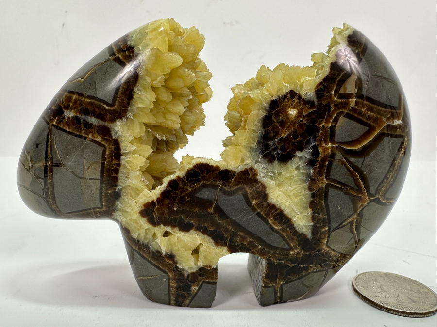 Carved Septarian Bear Figurine 5W X 3H [Photo 6]