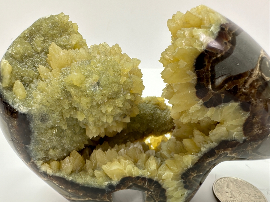 Carved Septarian Bear Figurine 5W X 3H [Photo 3]