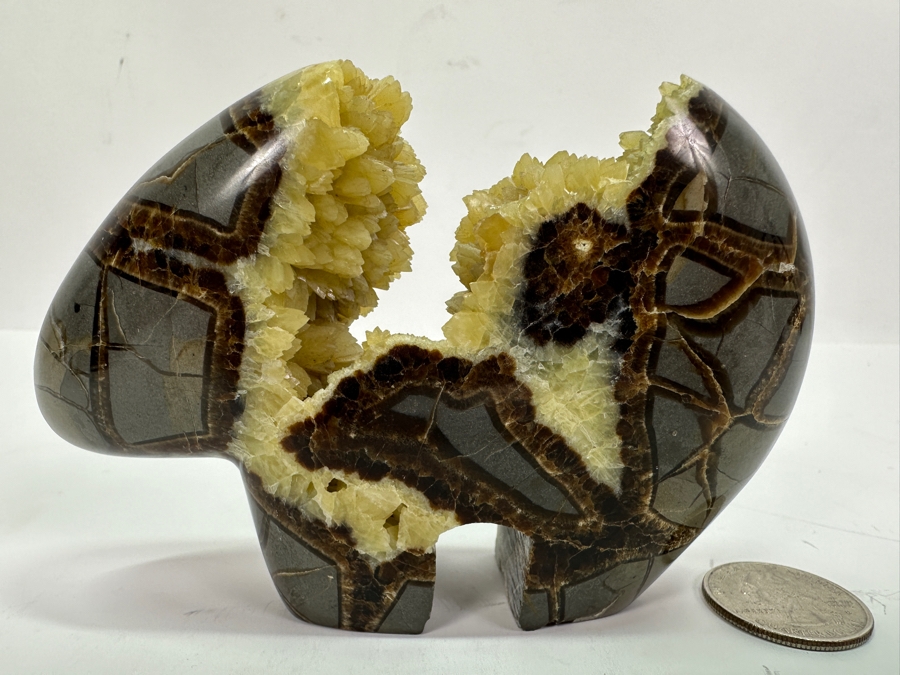 Carved Septarian Bear Figurine 5W X 3H [Photo 5]