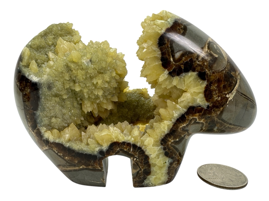 Carved Septarian Bear Figurine 5W X 3H [Photo 1]