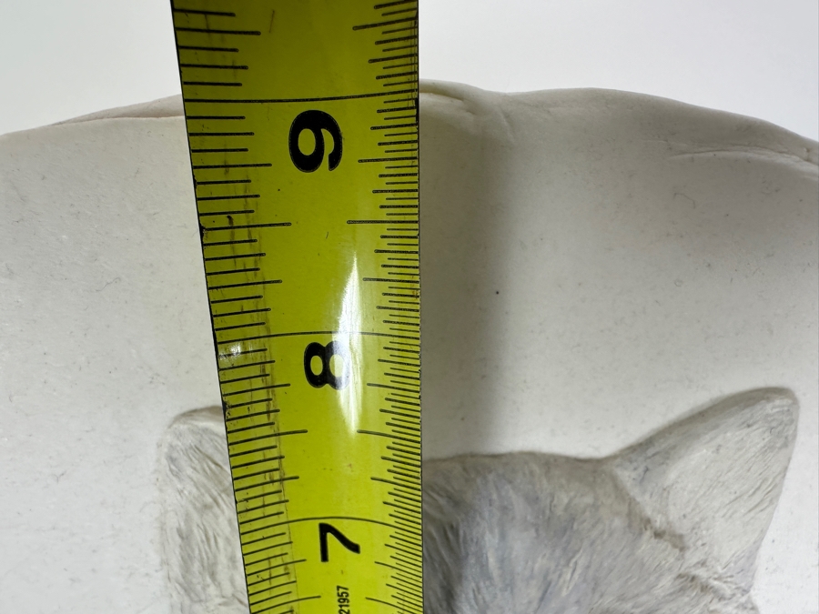 Joan Lacy Bas-Relief Cat Sculpture Unsigned 8 X 9 [Photo 5]