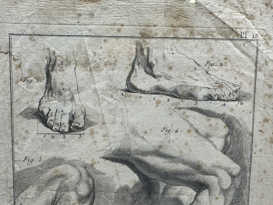 Framed Original Antique Engraving From Diderot - Design: Legs, Feet Plate 13 Encyclopedie Ou Dictionnaire Folio Framed 15 X 18.5 [Photo 6]